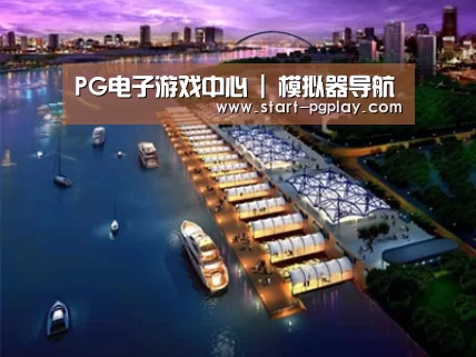 案例展示八