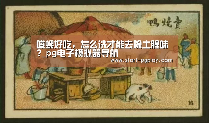 唆螺好吃,怎么洗才能去除土腥味?_pg电子模拟器导航(图1) pg模拟器