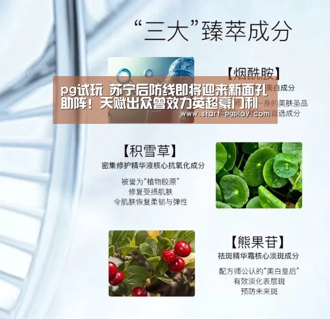 pg电子试玩