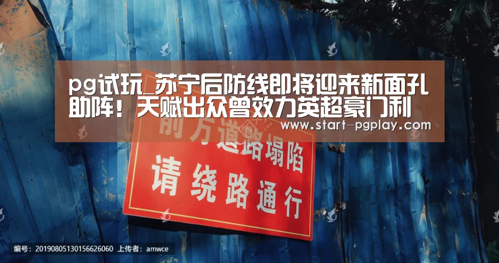 pg模拟器