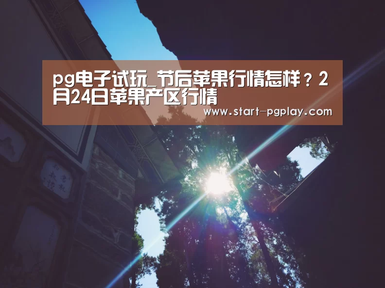 pg电子试玩_节后苹果行情怎样?2月24日苹果产区行情(图1) pg试玩