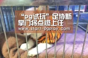 “pg试玩”足协新掌门将点燃上任后第一把火!中超联赛或因此迎来巨变(图2) pg模拟器