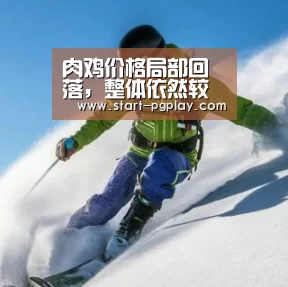 pg模拟器