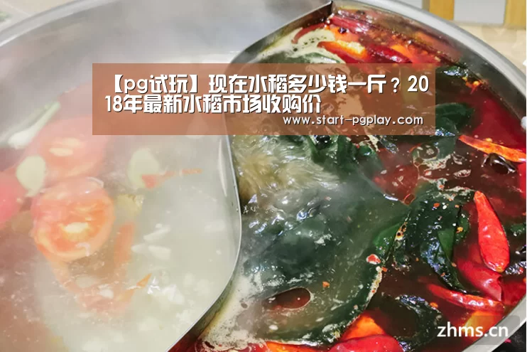 【pg试玩】现在水稻多少钱一斤?2018年最新水稻市场收购价(图1) pg模拟器