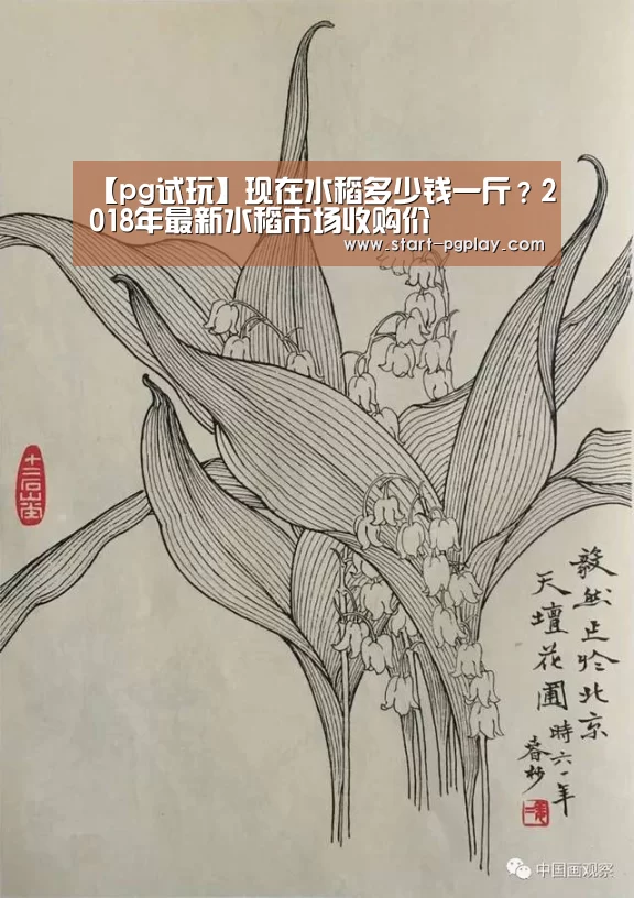 【pg试玩】现在水稻多少钱一斤?2018年最新水稻市场收购价(图4) pg模拟器