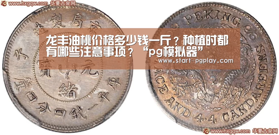 龙丰油桃价格多少钱一斤?种植时都有哪些注意事项?“pg模拟器”(图3) pg模拟器