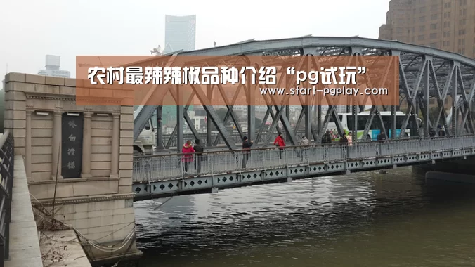 农村最辣辣椒品种介绍“pg试玩”(图1) pg电子试玩