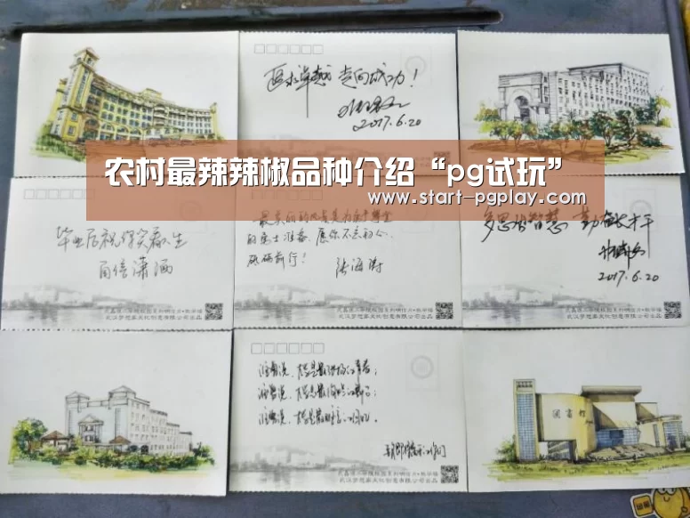 农村最辣辣椒品种介绍“pg试玩”(图2) pg模拟器