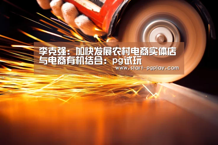 李克强:加快发展农村电商实体店与电商有机结合:pg试玩(图2) pg试玩