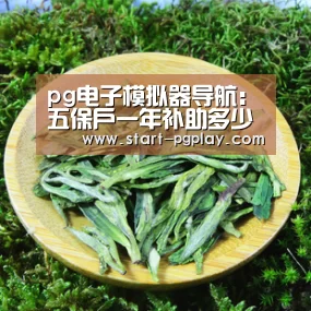 pg电子模拟器导航:五保户一年补助多少钱?2018五保户新政解读(附申请流程)(图1) pg试玩