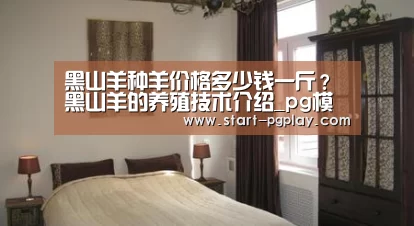 黑山羊种羊价格多少钱一斤?黑山羊的养殖技术介绍_pg模拟器(图2) pg电子试玩