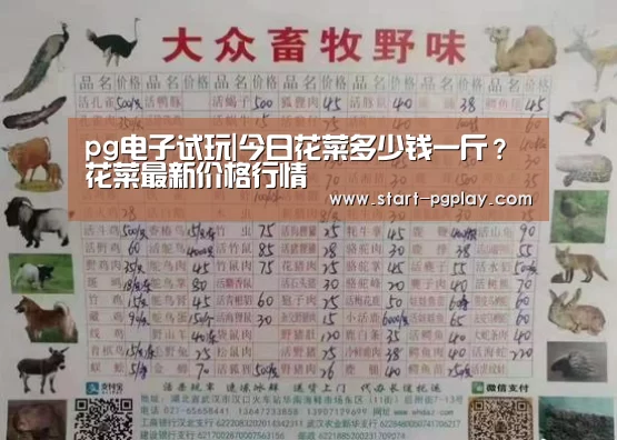 pg电子试玩|今日花菜多少钱一斤?花菜最新价格行情(图4) pg电子模拟器导航