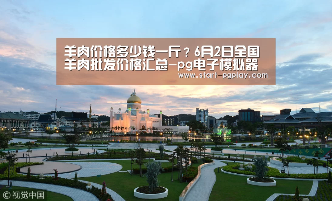 pg模拟器